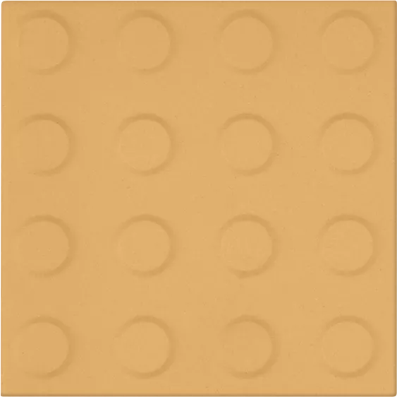 21-10x10-RC