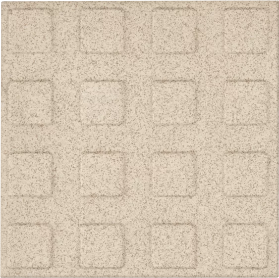 17-10x10-SS