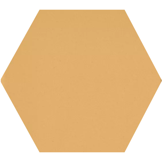 21-HEX10x10