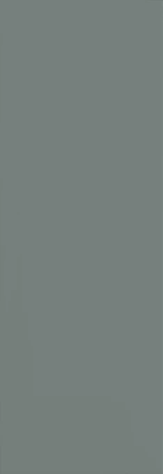 Grazia Elegance · ELG 35X102 LISCIA PINE MATT