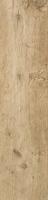 Керамогранит Axi Golden Oak (AS3C) 22.5x90 от Atlas Concorde (Италия)