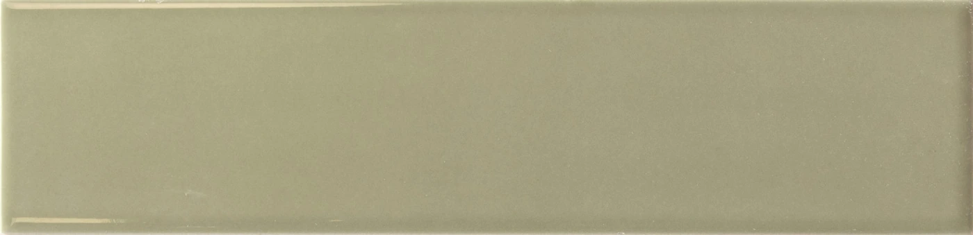 LUMINA Lichen Glossy 6x24.6