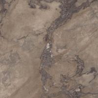 Керамогранит EPOQUE BROWN RET (PF60004408) 60x60 от Ariana (Италия)