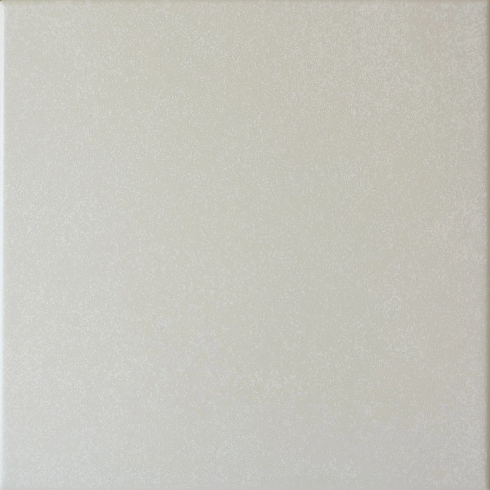 CAPRICE Grey 20x20