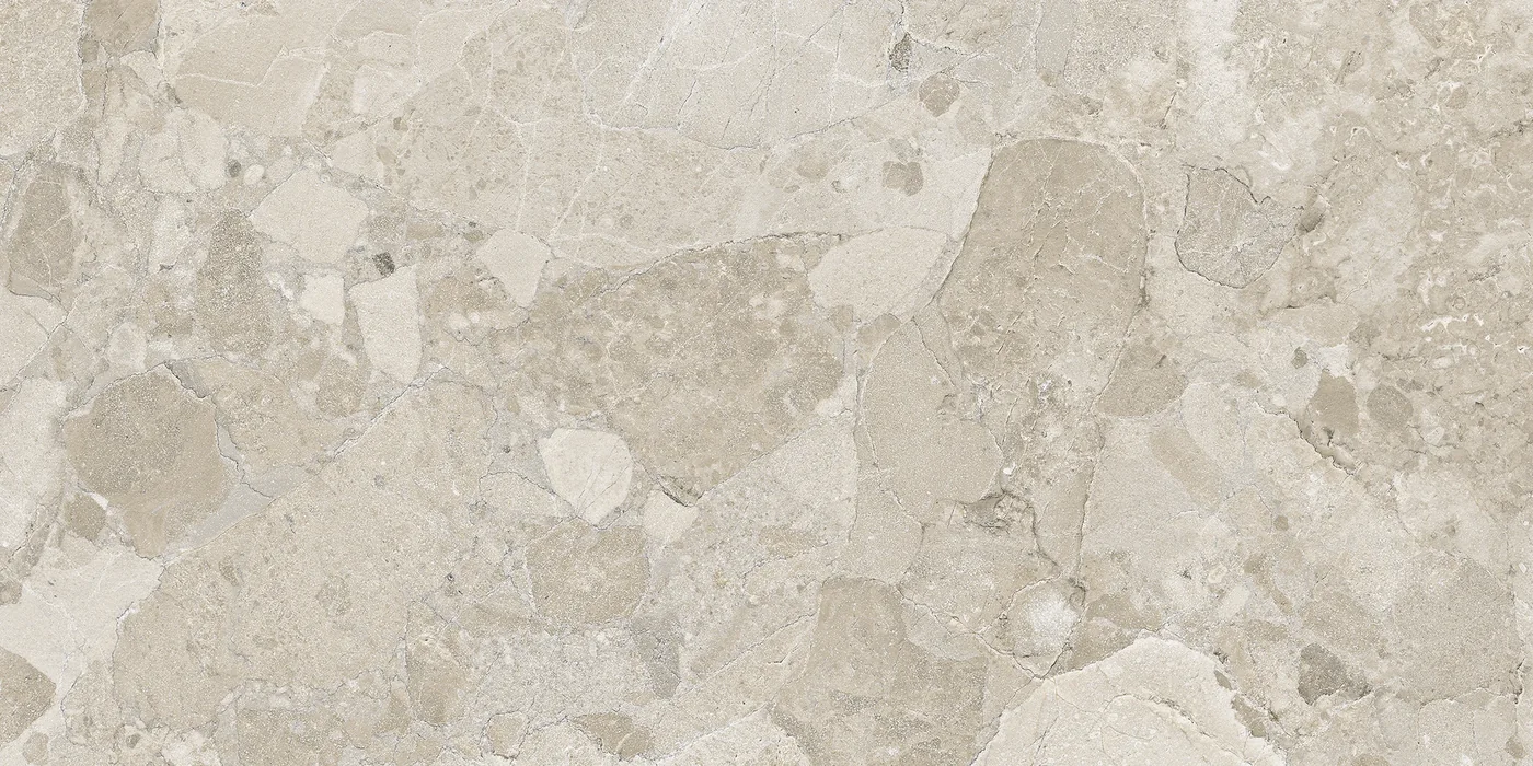 Ergon Matera Stone Sassi Greige Silktech 60x120 см