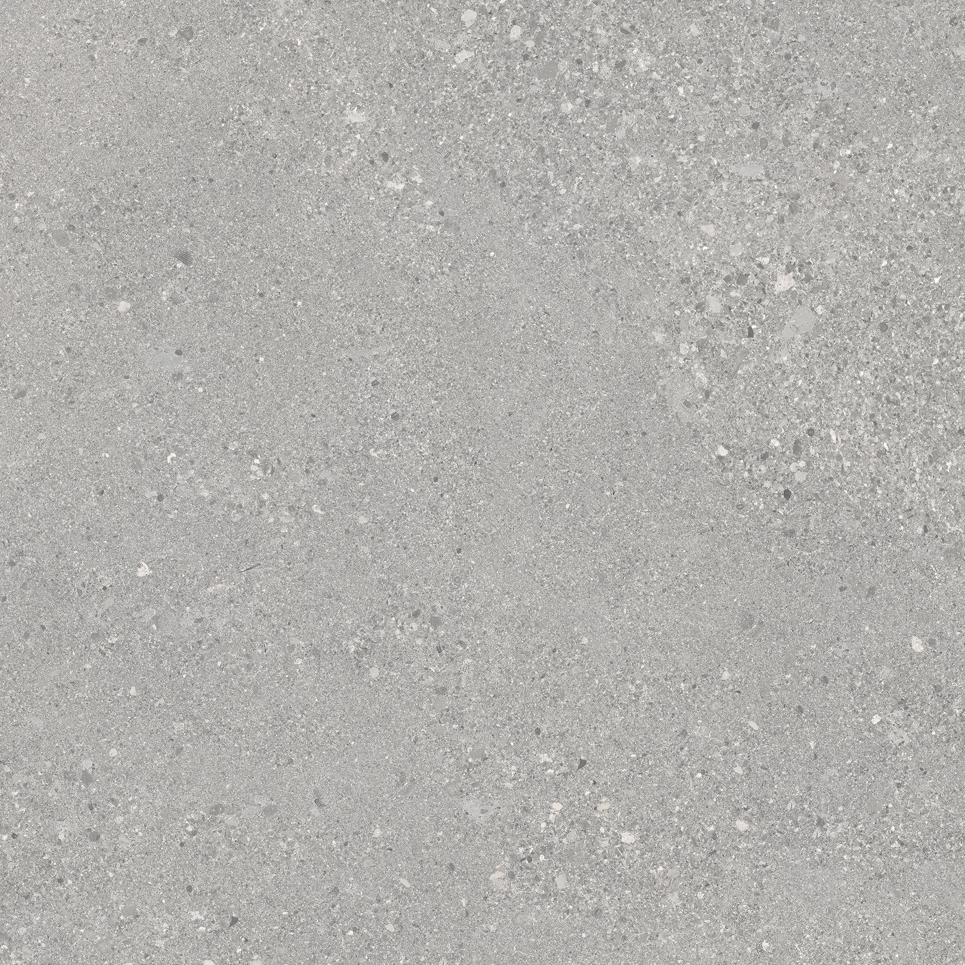 Ergon Grainstone Grey Rough Grain Tecnica R11 60x120 см