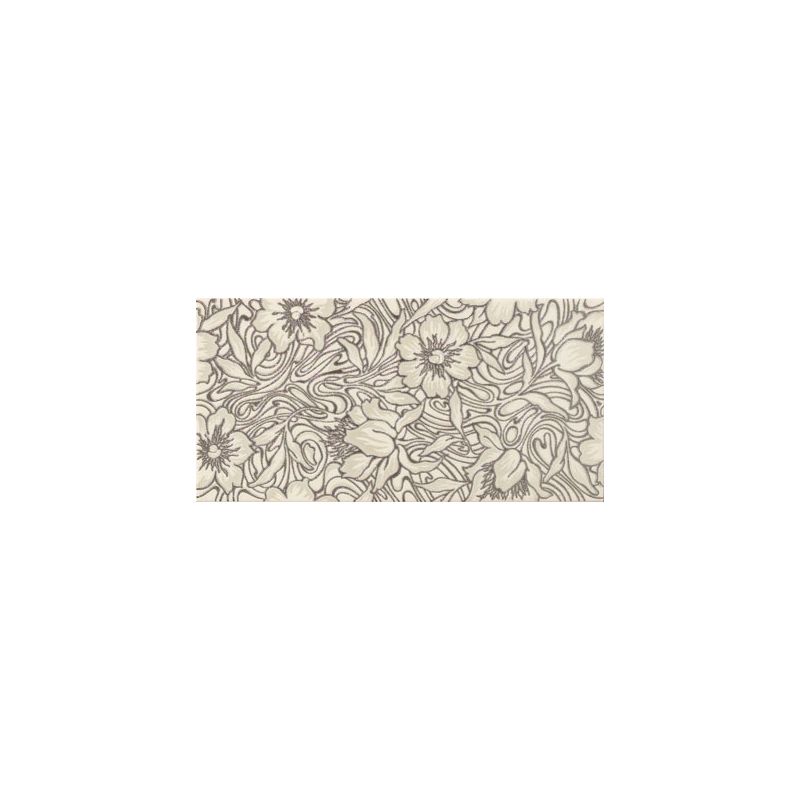 Rosaleda Plata 20x40