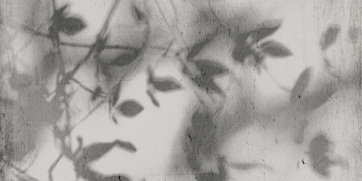 ART WALLS SHADOW NAT R60X120