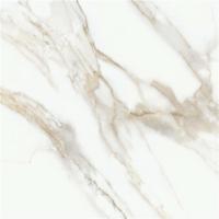 Керамогранит P.E. Lumiere natural mt. rect 100 100x100 от STN Ceramica (Stylnul) (Испания)