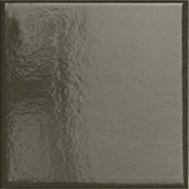 Керамогранит Peperino FOREST GLOSSY 10x10