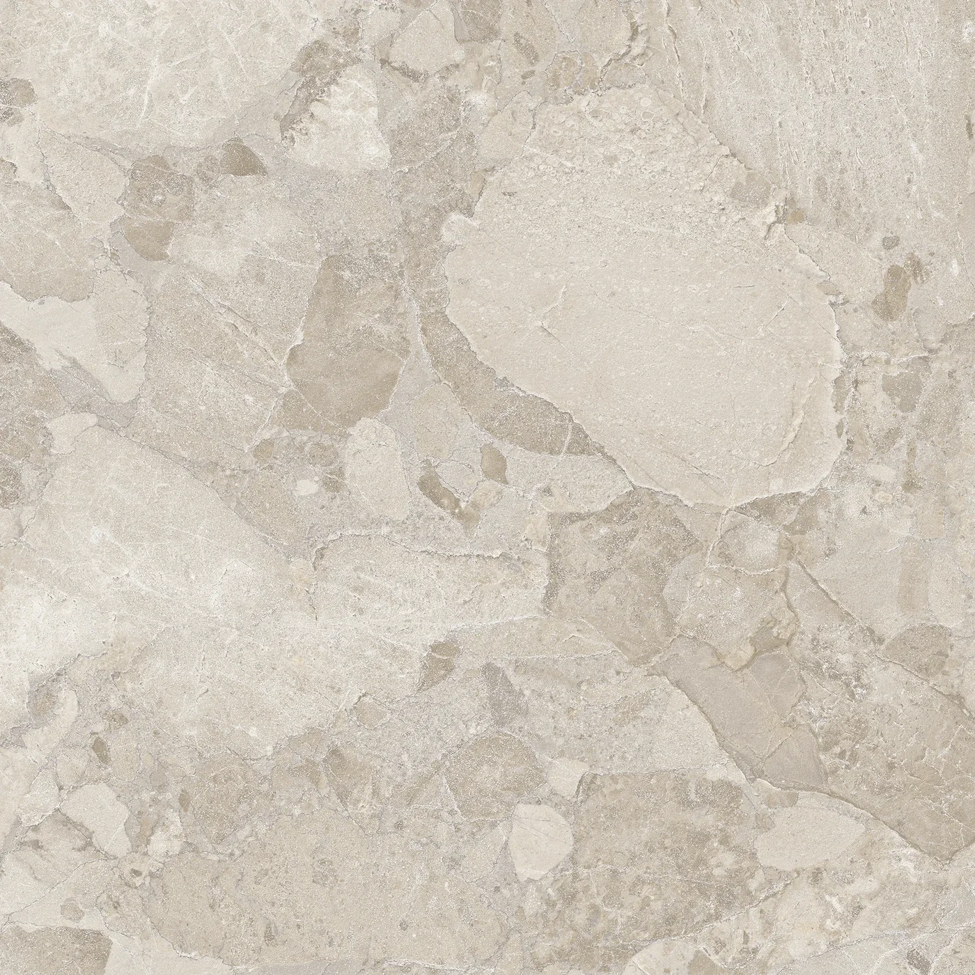 Ergon Matera Stone Sassi Greige Silktech 100x100 см