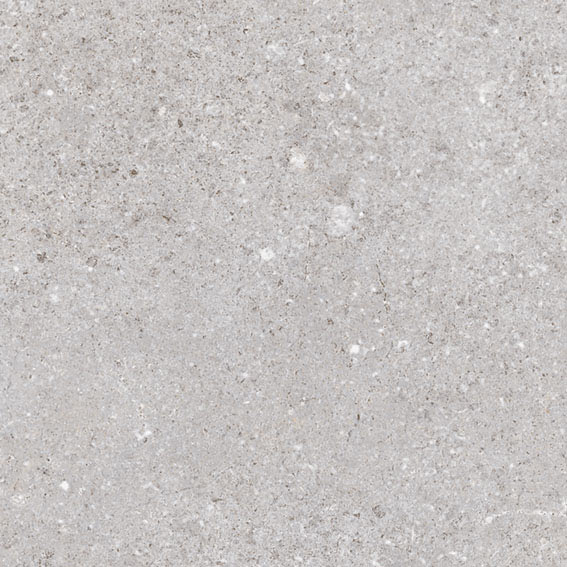 Керамогранит Nassau Gris 20x20