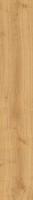 Керамогранит Heartwood Malt (AL7E) 20x120 от Atlas Concorde (Италия)