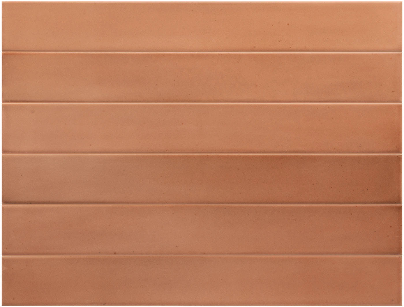 MASSIMO Cotto 5x40