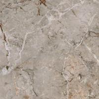 Керамогранит MARMO E PIETRA BRECCIA ARGENTUM LAPP/RETT (163021) 120x120 от AVA Ceramica (Италия)