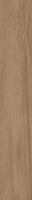 Керамогранит Belice-R Natural 19.4x120 от Vives Ceramica (Испания)