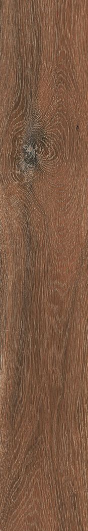 Керамогранит Barkwood Cherry 20×120