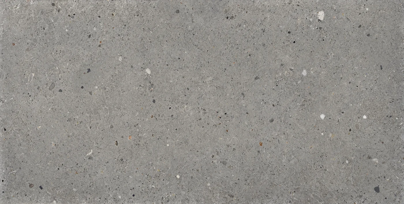 Provenza Ego Grigio Scuro 60x120 см