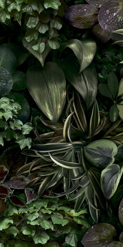 Керамогранит Paper41 Pro Jane B 50x100