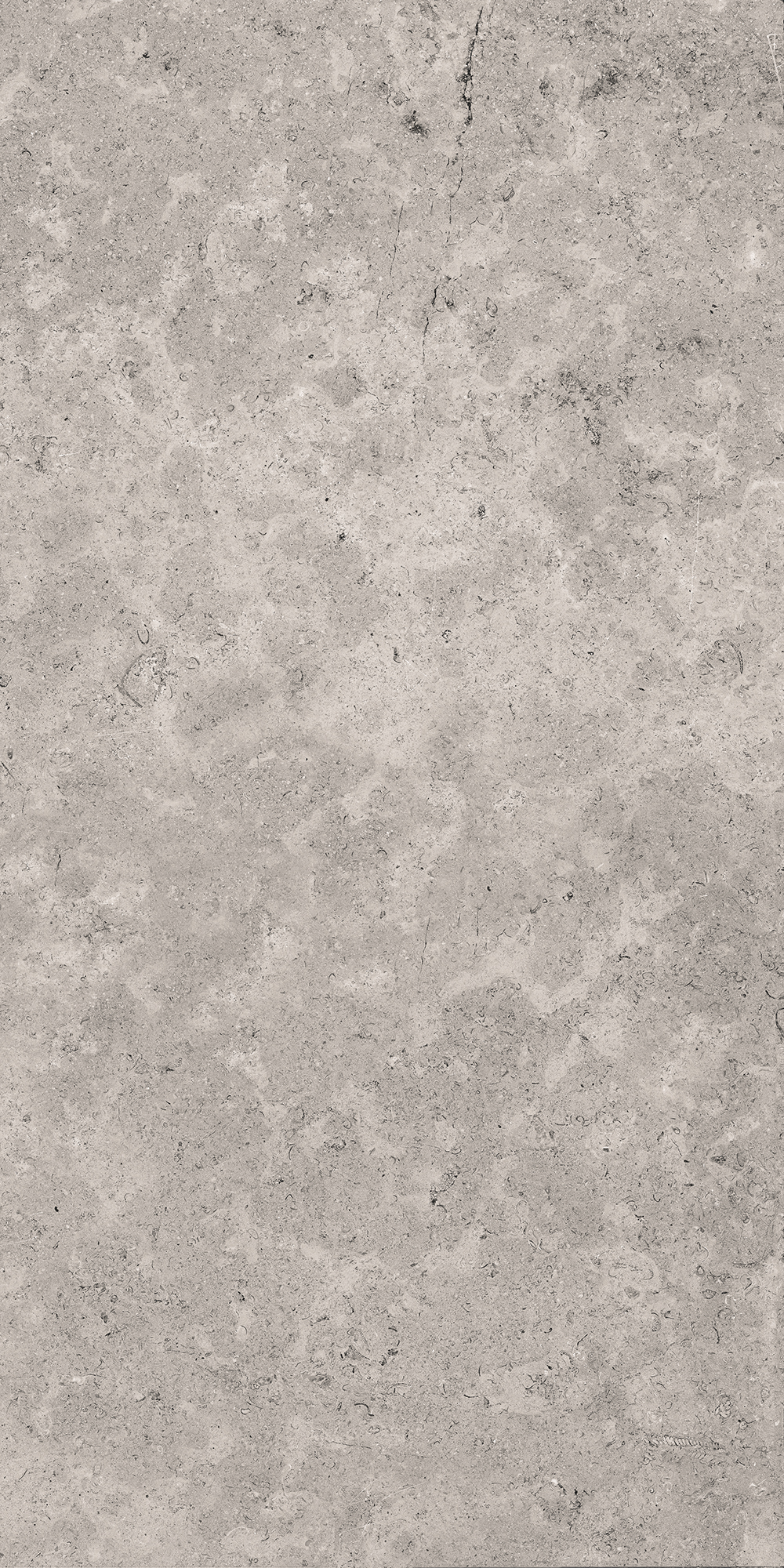 Керамогранит Cedre Grey 60×120