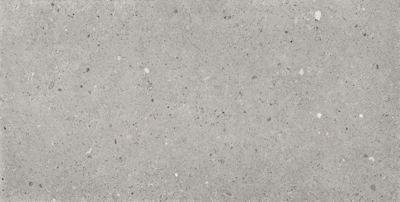 Provenza Ego Grigio 60x120 см