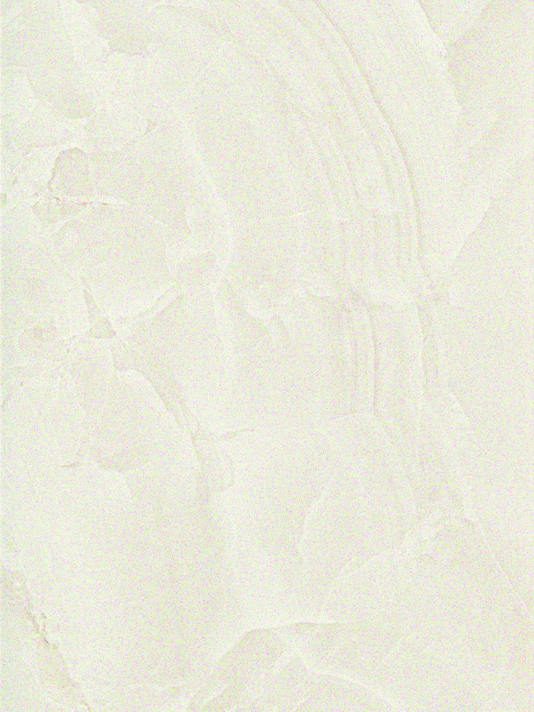 Керамическая плитка Marvel Champagne Onyx 30.5×56