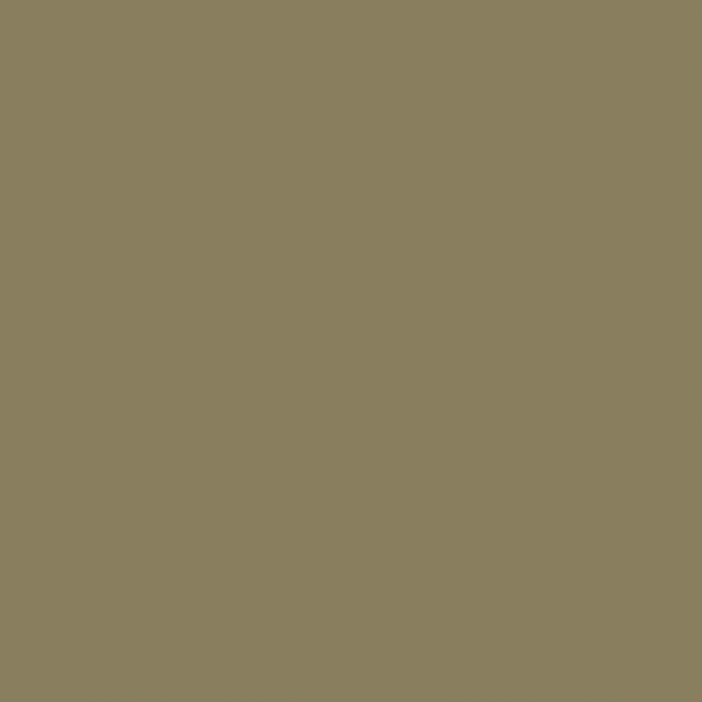 BAUHOME Grun 20x20
