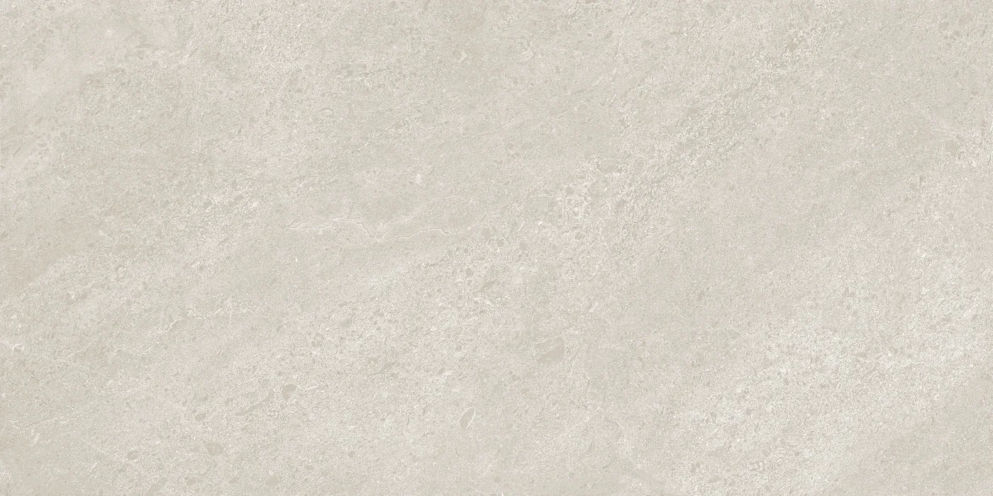 Ergon Matera Stone Neutra Greige Silktech 60x120 см