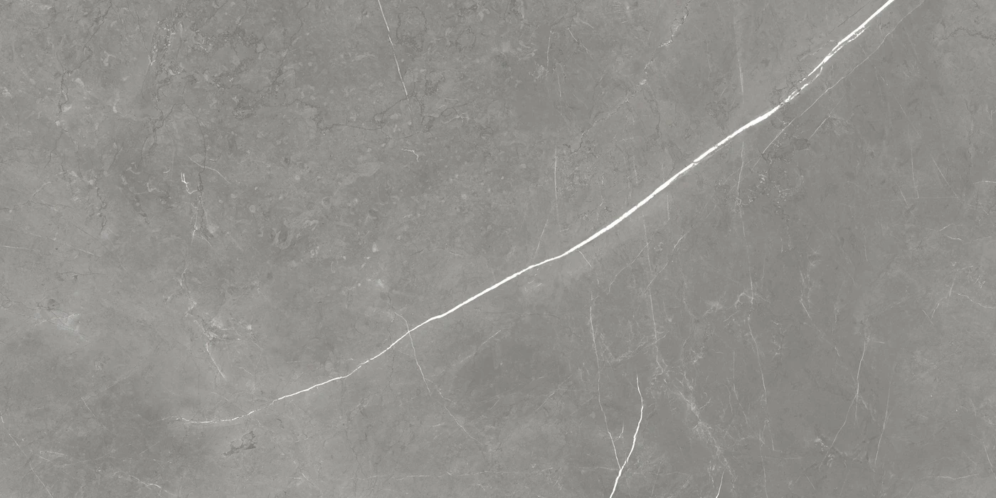 Керамогранит Forte dei Marmi Elegant Grey Сатинированная 60×120