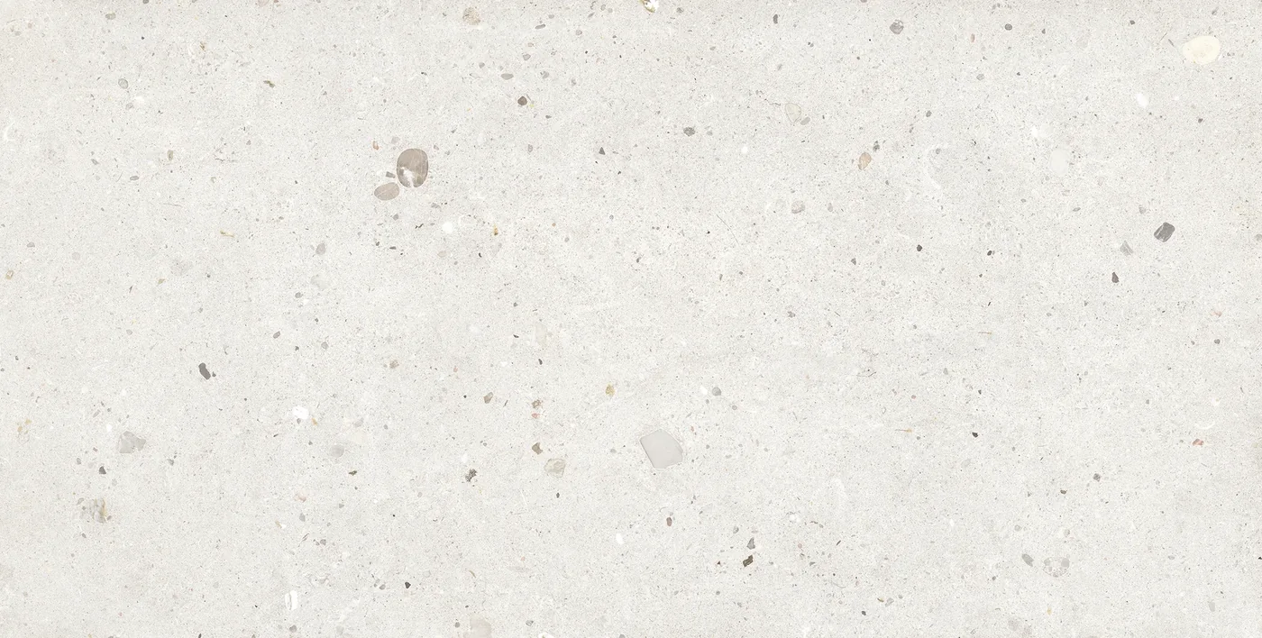 Provenza Ego Avorio 60x120 см