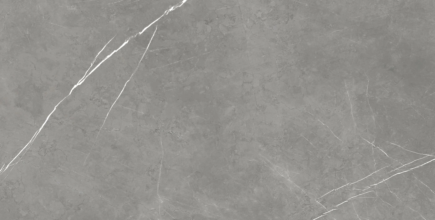 Керамогранит Forte dei Marmi Elegant Grey Матовая 80×160