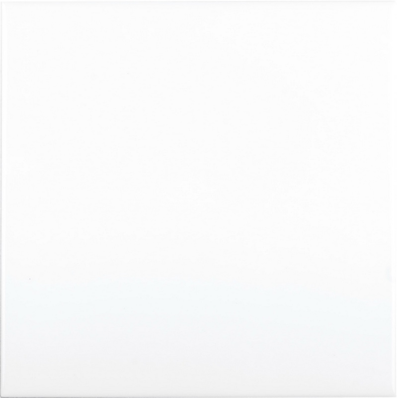 Настенная плитка NERI LISO PB BLANCO Z (ADNE1025) 15x15 от ADEX (Испания)