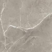 Керамогранит PURITY OF MARBELE ELEGANT GREIGE LUX RT (60EG) 60x60 от Supergres Ceramiche (Италия)