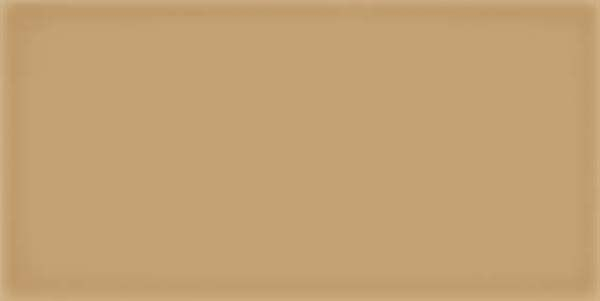 Настенная плитка Corso Caramelo 10x20 от Vives Ceramica (Испания)