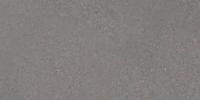 Керамогранит Alpha Plomo 30x60 от Vives Ceramica (Испания)