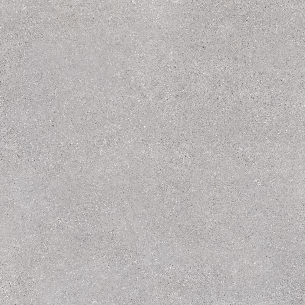 Керамогранит Nassau-R Gris 120x120