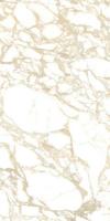 Керамогранит PULP Gold D. Polished (4100704) 60x120 от 41ZERO42 (Италия)