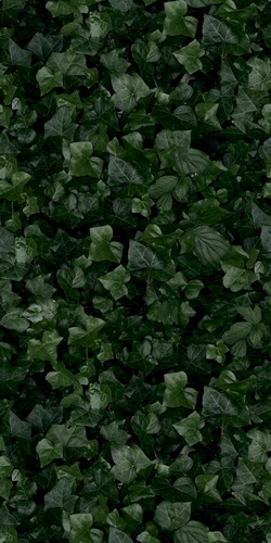 Керамогранит Paper41 Pro Jane E 50x100