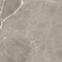 Керамогранит PU.ELEGANT GREIGE LUX 120X120RT (Италия)