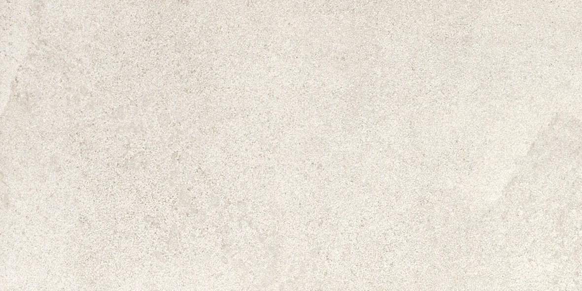 Ergon Stone Project Controfalda White Lappato 30x60 см