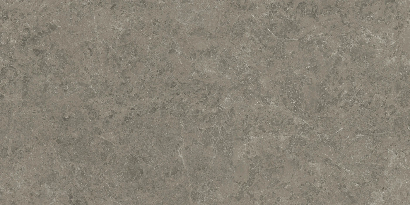 Керамогранит Marvel Meraviglia Grigio Elegante Lappato 9 mm 120×240