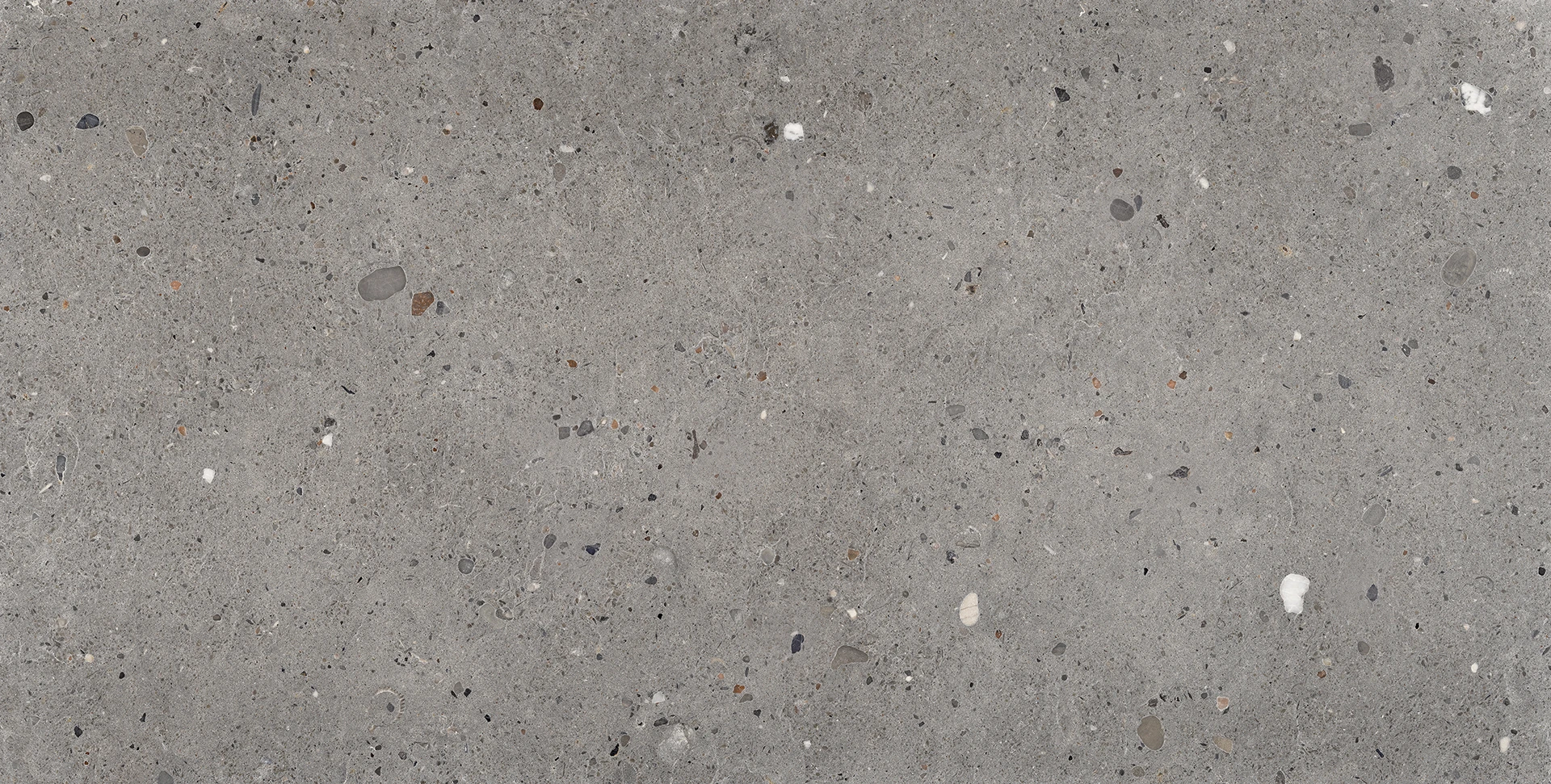 Provenza Ego Grigio Scuro Tecnica R11 60x120 см