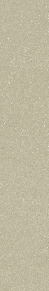 Parallax White-R