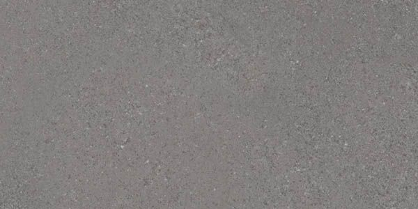 Керамогранит Alpha Plomo 30x60 от Vives Ceramica (Испания)