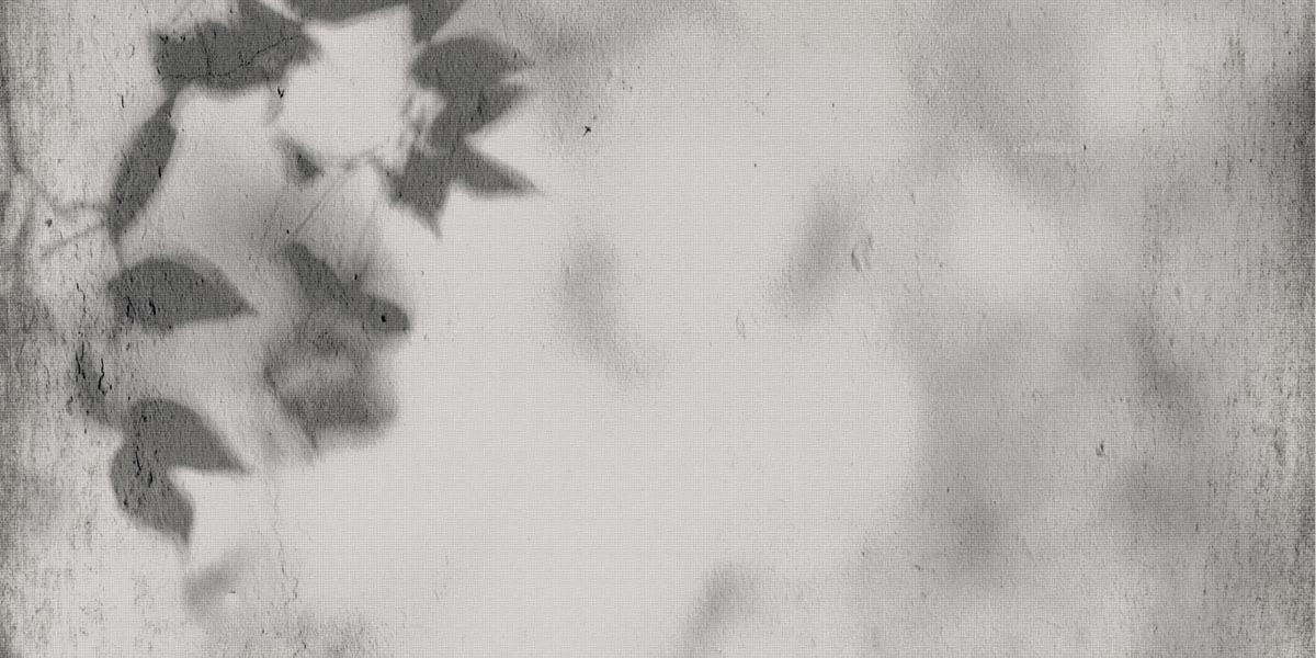 ART WALLS SHADOW NAT R60X120