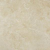 Керамогранит Force Ivory Rett 60 60x60 от Atlas Concorde (Россия)
