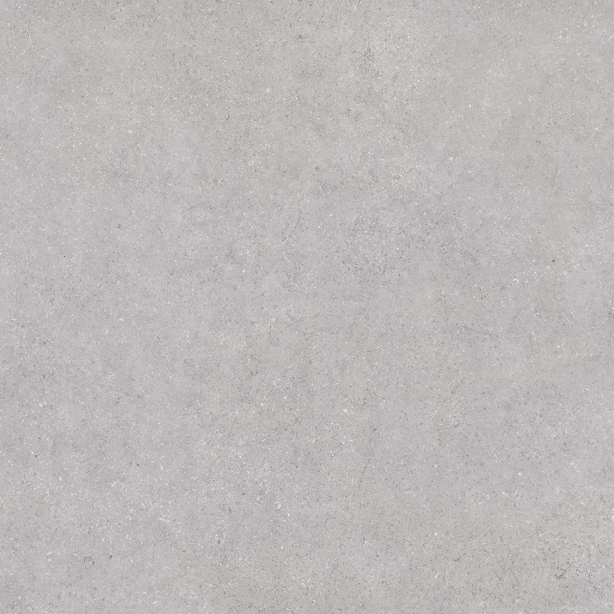 Керамогранит Nassau-R Gris Antideslizante 120x120