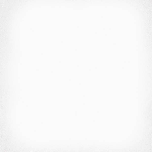 Напольная плитка 1900 Blanco 20x20 от Vives Ceramica (Испания)