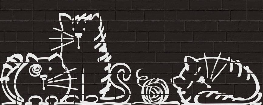 Nuney-4 Negro 20x50