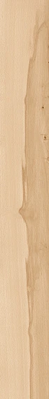 Керамогранит Log Cansei Rialto 18.5×150